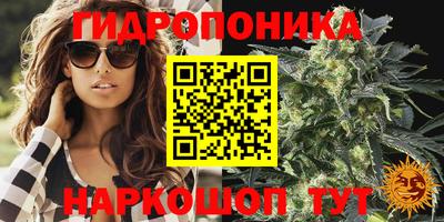 стаф Камень-на-Оби