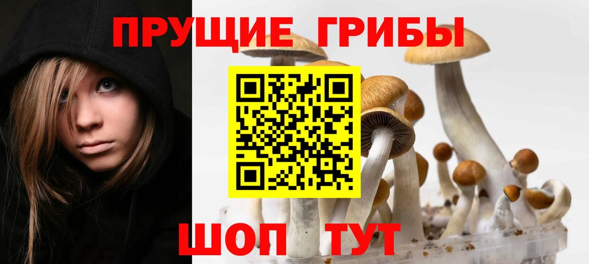 Псилоцибиновые грибы ЛСД  Вход с VPN  Алушта 